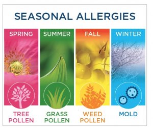 Seasonal Allergies